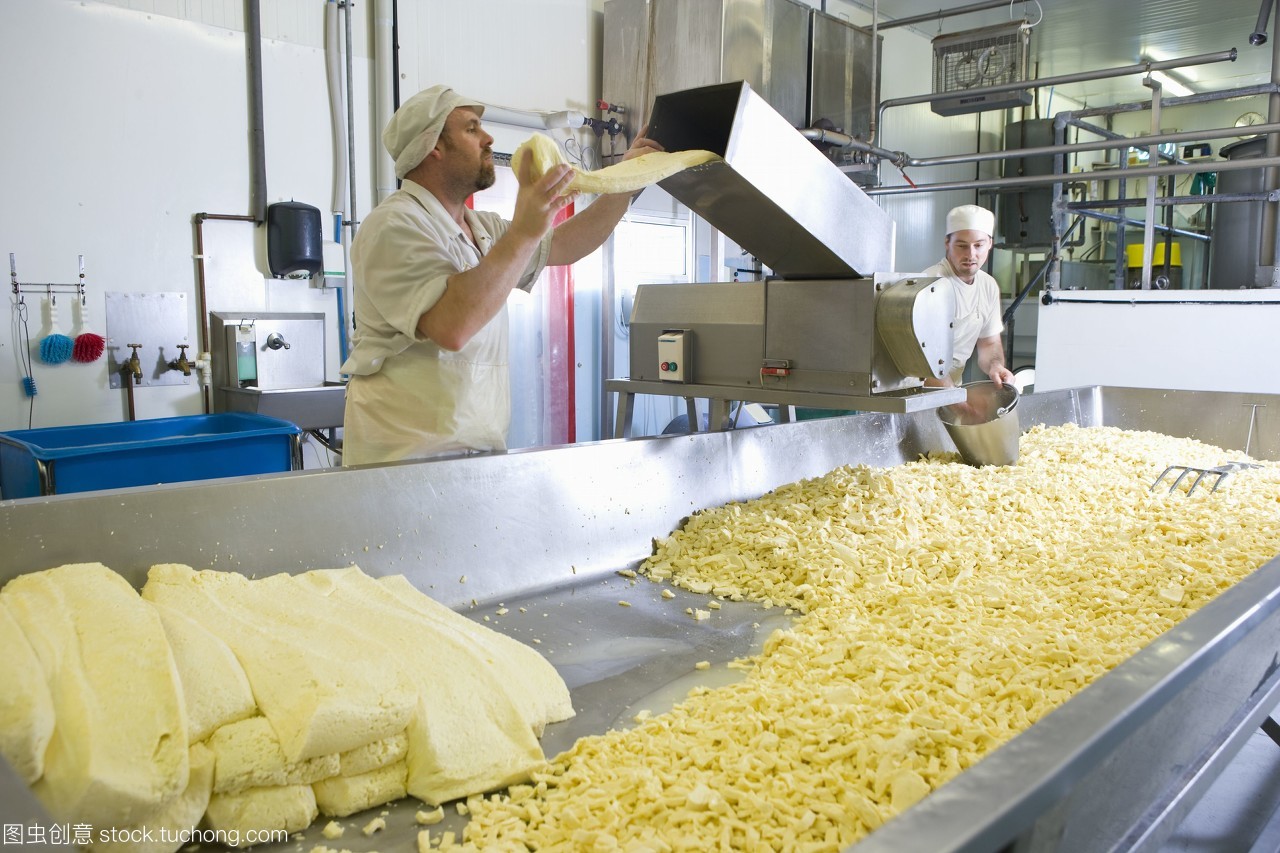 奶酪制造商格栅农场的cheddar和机器